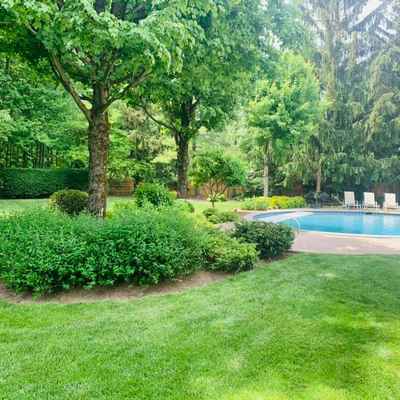 A serene backyard with a lush green lawn, enhanced by professional landscaping, features various trees. A circular pool is surrounded by foliage, creating a peaceful atmosphere. Several lounge chairs near the pool offer a relaxing space, showcasing the benefits of expert yard maintenance.