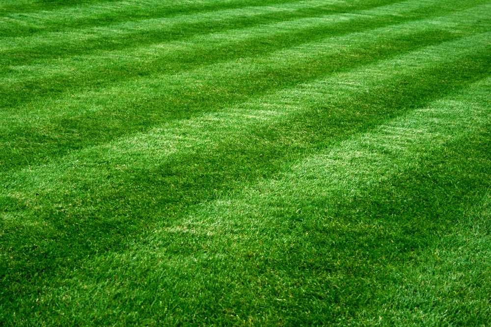 A well-maintained green lawn with neat stripes running horizontally, showcasing a vibrant and healthy appearance. The grass is evenly cut, giving a uniform look to the landscape, expertly crafted by landscapers in Delaware County.