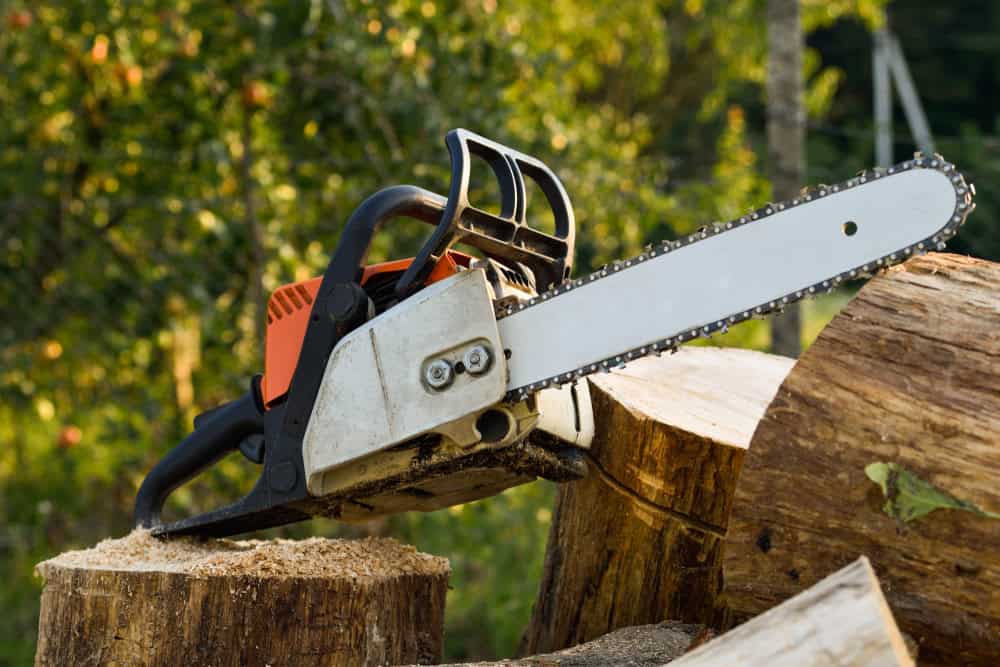 A chainsaw rests on a tree stump with sawdust scattered around it, suggesting recent tree removal in Delaware County. The background is filled with blurred green foliage, capturing the essence of this outdoor setting.