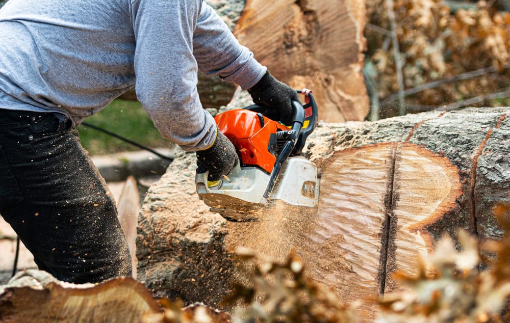 A person skillfully using a chainsaw to cut through a large log is in action, perhaps tasked with tree removal in Delaware County. They wear a gray sweater and black gloves, with wood chips flying around as they work. The background blends blurred logs and branches.