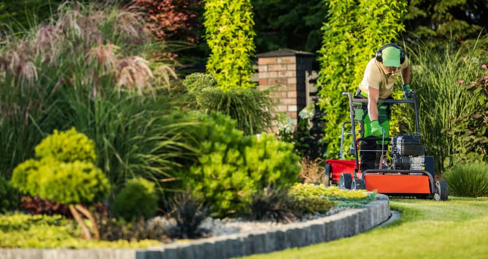 A person wearing ear protectors and gloves operates a lawn aerator on a lush, well-maintained garden lawn, showcasing the skill of landscapers in Delaware County. Trimmed hedges, ornamental grasses, and various green plants surround the scene, creating a vibrant and tidy landscape.