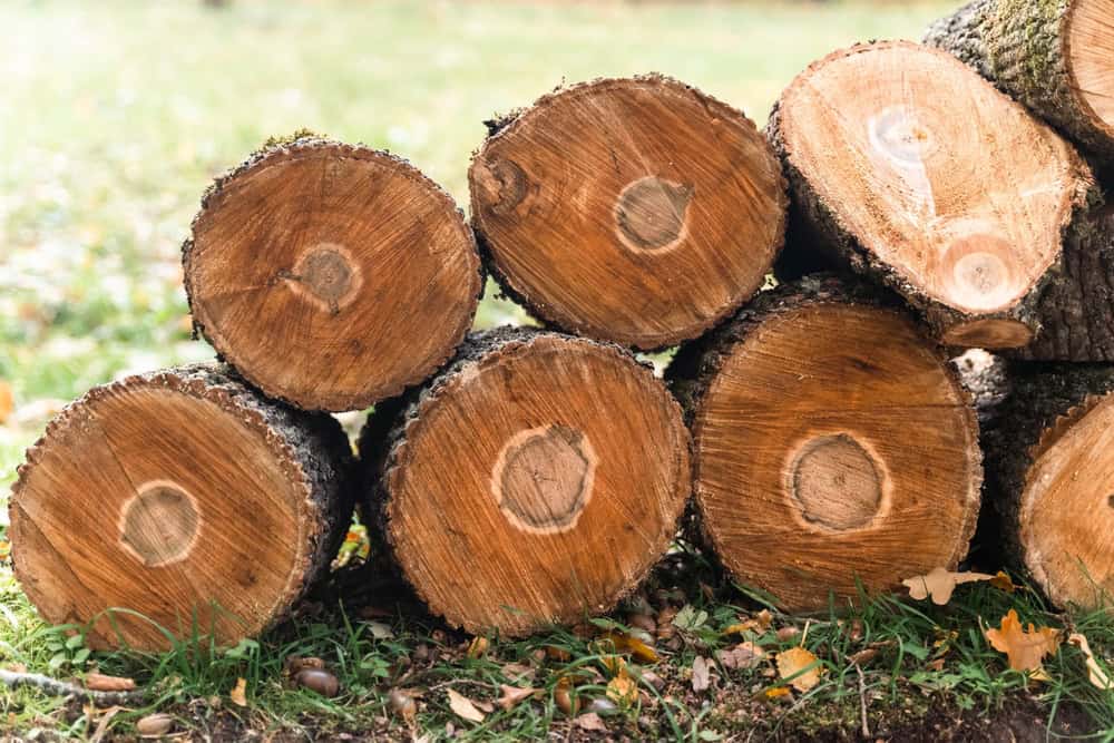 A stack of cut logs lies on the grass, each displaying distinct circular rings and rough bark along their edges. The background shows a blurred, grassy area, suggesting an outdoor setting after expert tree removal in Delaware County.