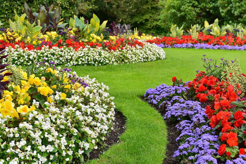 A vibrant garden featuring curveda flower beds filled with colorful blooms, beautifully crafted by landscapers in Delaware County. Yellow, white, red, and purple flowers are surrounded by lush green grass, creating a lively and serene landscape.