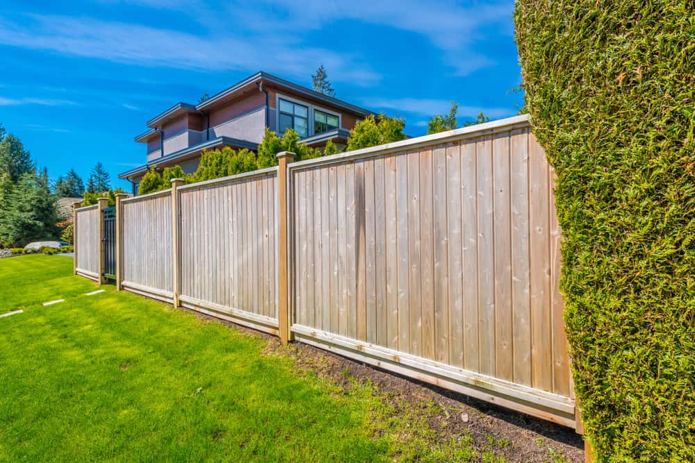 A modern house with large windows partially hidden behind a tall wooden fence and trimmed hedges. The bright blue sky and green grass surround the property, creating a vibrant and serene setting.