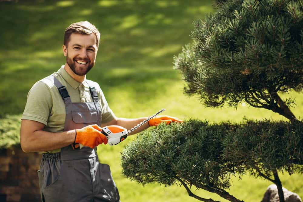 A man in overalls and orange gloves smiles while trimming a bonsai tree with an electric hedge trimmer in a garden. The background features lush green grass and a sunny atmosphere.