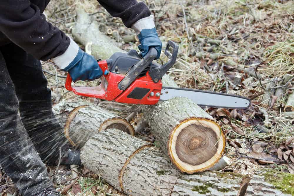 Person using a red chainsaw to cut logs in an outdoor setting. The logs are arranged on the ground amidst fallen leaves and grass. The person is wearing gloves and dark clothing. Sawdust is visible around the cut area.