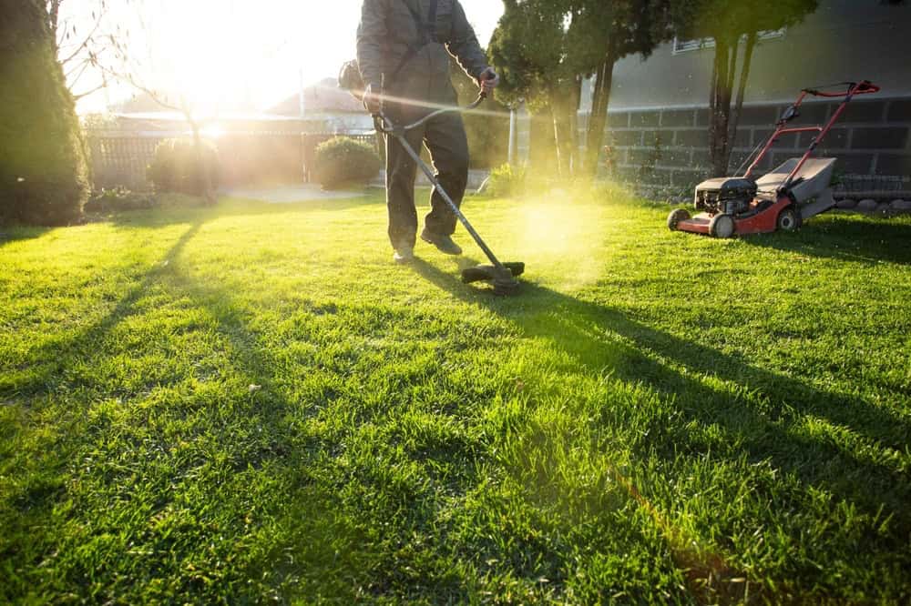 Someone in a grey jumpsuit using a weed whacker on a lush, green lawn. There is a red lawn mower on the right.