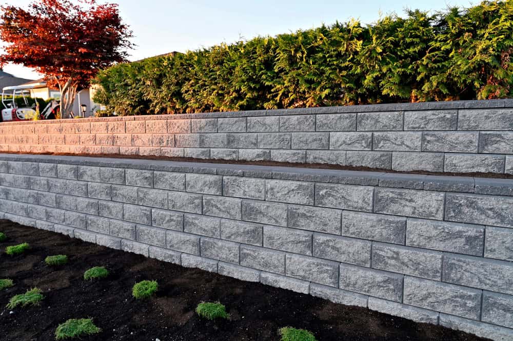 A two-tier gray stone retaining wall with neatly trimmed green shrubs on top and small green plants emerging from dark soil at the base. A red-leaved tree is visible in the background.