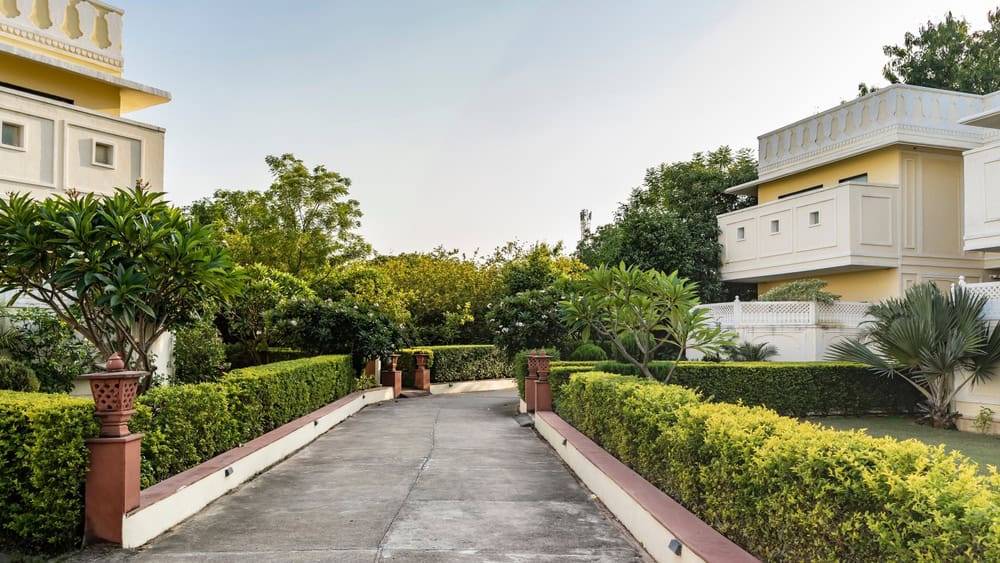 A paved walkway bordered by neatly trimmed hedges and decorative potted plants runs between two cream-colored buildings, framed by vibrant green trees and shrubs beneath a clear blue sky.